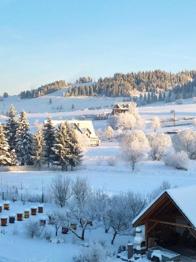 To Tu Czarna Góra Exterior foto