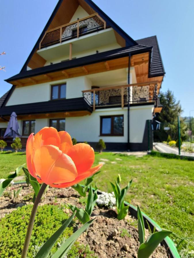 To Tu Czarna Góra Exterior foto